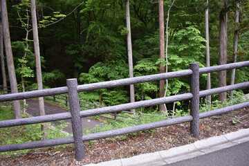 日本　群馬　八ッ場ダムの傍　猿橋　5月の風景