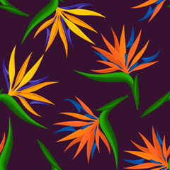 Fototapeta na wymiar seamless pattern with tropical, exotic strelitzia, bird of paradise, crane flower. endless floral repeatable texture
