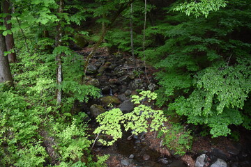 日本　群馬　八ッ場ダムの傍　猿橋　5月の風景