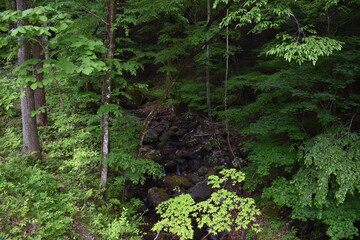 日本　群馬　八ッ場ダムの傍　猿橋　5月の風景