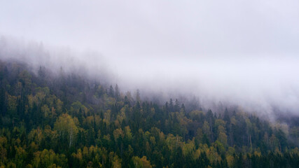 A rainy day on a hillside by Lake Mjøsa in spring.