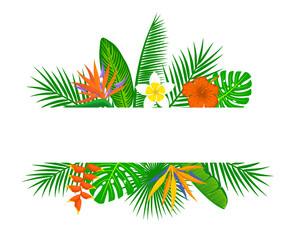 tropical exotic leaves and flowers plants background. floral foliage backdrop with palm tree banana  monstera leaf hibiscus  heliconia bird of paradise frangipani