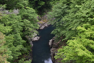 日本　群馬　八ッ場ダムの傍　猿橋　5月の風景