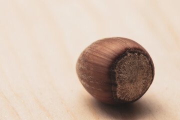 One unshelled hazelnut on a natural wooden table.