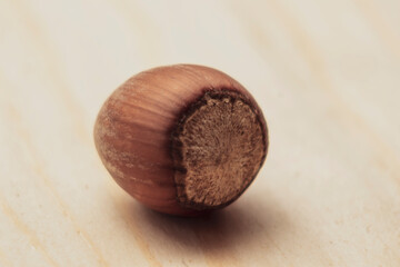 One unshelled hazelnut on a natural wooden table.