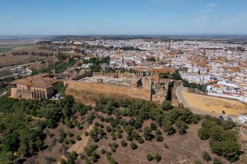 Fototapeta na wymiar vista del bonito pueblo de Carmona en la provincia de Sevilla, Andalucía