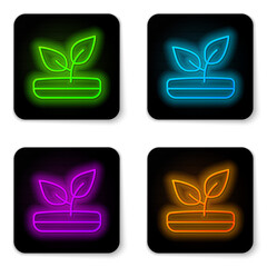 Glowing neon line Sprout icon isolated on white background. Seed and seedling. Leaves sign. Leaf nature. Black square button. Vector