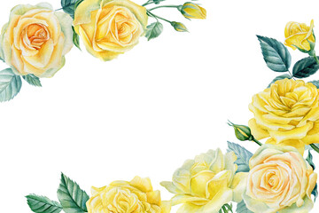 Watercolor greeting card, holiday invitation. Roses Flowers, leaves, branches on an isolated white background