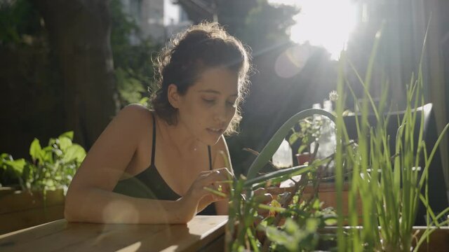 Young woman looks at plants growing inside planter box in backyard urban garden. Home grown green products and flowers in a city hidden garden. Woman smiling as she checks and cares for the plants