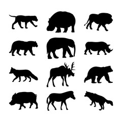 Silhouettes of different types of animals on a white background.