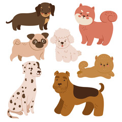Set of cute dogs isolated on white background. Vector graphics.