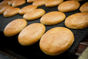 Bread conveyor line, on a factory