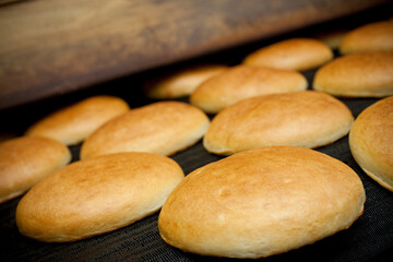 Bread conveyor line, on a factory