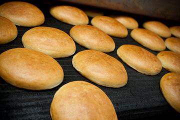 Bread conveyor line, on a factory