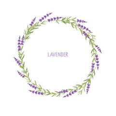 Lavender wreath. Flowers frame. Vector flat grass lavender Illustration. Lavender flowers collection isolated. For save date, inscriptions, photo. Medical plant. For birthday, wedding Invitation, 
