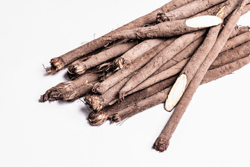 Raw Scorzonera or Spanish salsify isolated on white background