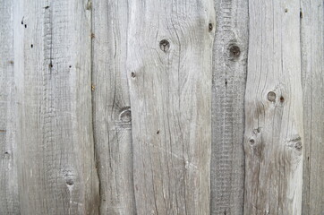 Naklejka premium Photo of old wood, gray texture of natural wood, background of aged wood