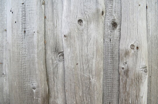 Photo of old wood, gray texture of natural wood, background of aged wood
