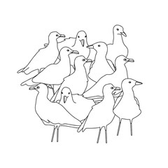 Flock of sea gulls - hand drawn linear vector illustration isolated on white.