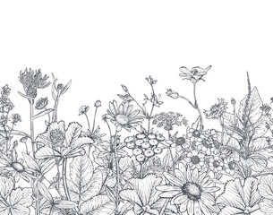 Vector seamless pattern with hand drawn herbs and wildflowers - 434103721