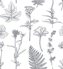 Vector seamless pattern with hand drawn herbs and wildflowers