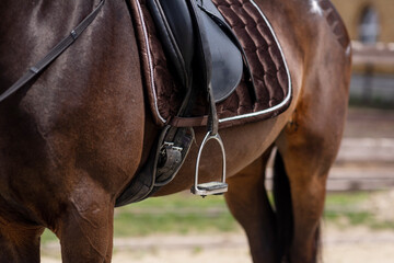 horse spinning and riding system, stirrup. Equestrian sport