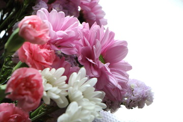 沢山のキク科の花束