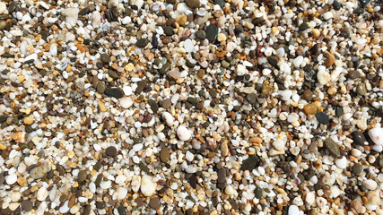 Sea pebble texture. Small rocks. Small multicolored pebble stones. Close up beach stones surface.