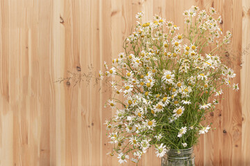 Chamomile flowers fresh bouquet with a natural wooden wall on background.