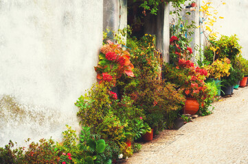 Flowers on the street in a small town in Portugal. Beautiful garden, summer cityscape. Vintage filter