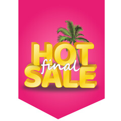 Hot Final Sale 3D Text with white background for Summer seasonal promotions.