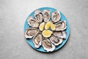 Fresh oysters with lemon on grey table, top view
