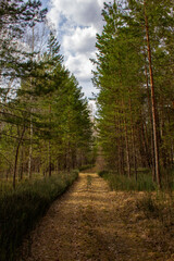 Easy time in the Urals