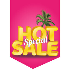 Hot Special Sale 3D Text with white background for Summer seasonal promotions.