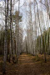 Fototapeta premium Easy time in the Urals