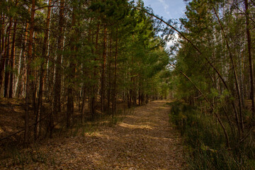 Easy time in the Urals