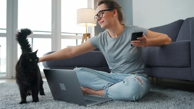 Casually dressed woman sits on a carpet with a laptop, holds on her knees and strokes a fluffy cat and works in a cozy room. Remote work outside the office.