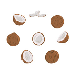 Fototapeta na wymiar Coconut set - whole nut coconut segment and coconut pulp. Half tropical fruit. Vector illustration.