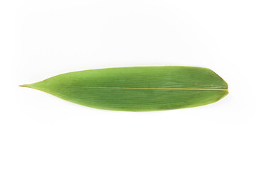 a fresh reed leaf isolated on white background,rice dumpling ingredient