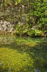 Natural Park El Cubano near Trinidad. Cuba