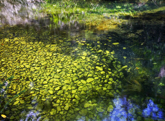Natural Park El Cubano near Trinidad. Cuba