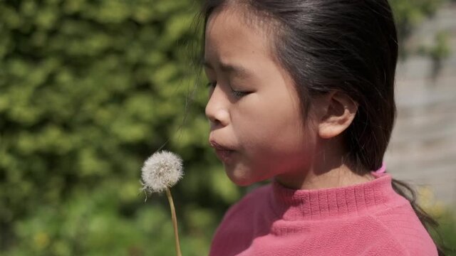 Asian girl blowing dandelion in the sun