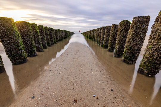 Pile heads in the north sea at Vlissingen, Holland, used as groynes