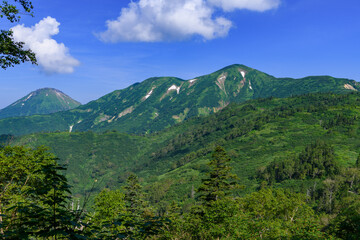 夏の火打山と焼山