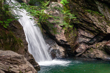 Isolated waterfall in rocky pool with green foliage in foreground