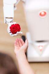 robot delivers red rose