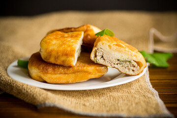fried pies with meat in a plate on a white