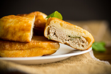 fried pies with meat in a plate on a white