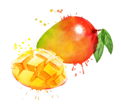 Red Mango Vector Red Mango Vector Images – Browse 7,773 Stock Photos, Vectors, and Video ...