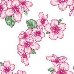 Seamless floral pattern, apple flowers light botanical vector background illustration